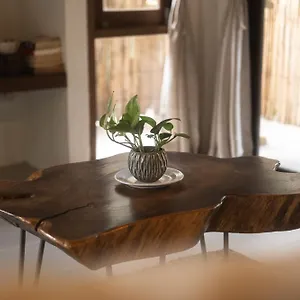 Hotel Big Tree Boutique