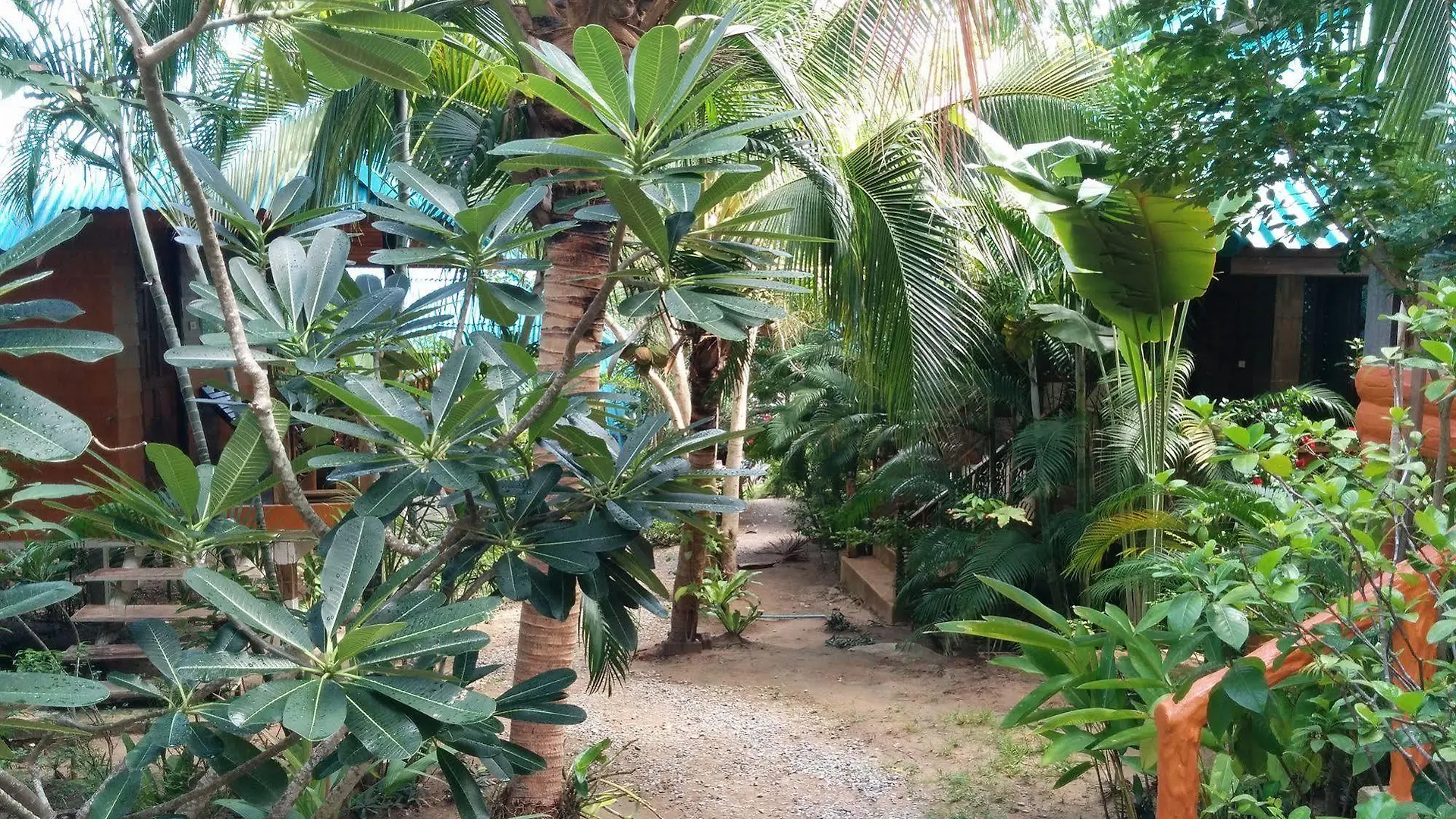 Koh Tao Beachside Resort